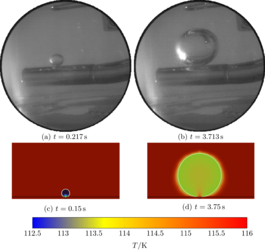 The picture shows two rows of figures. In the upper row there are two black-white recordings of a drop tower experiment. A methane gas bubble grows at an artificial cavity in superheated liquid. In the row below two corresponding numerical simulations as a recalculation of the experiment frames above are shown. The colormap shows the temperature of the fluid.