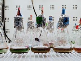 Iluminated flasks containing liquids in shades of green, yellow and brown.